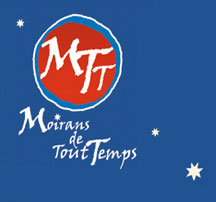 logo-mtt
